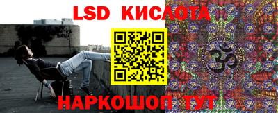 прущие крисы Бийск