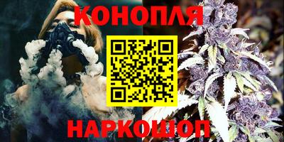 прущие крисы Камышлов