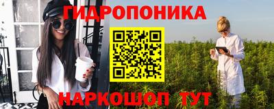 прущие крисы Бийск