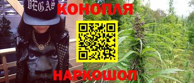 прущие крисы Бийск