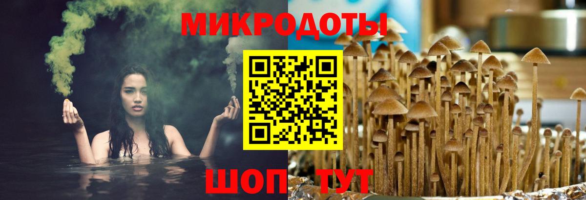 Псилоцибиновые грибы Psilocybine cubensis  Вход с VPN  Глазов 